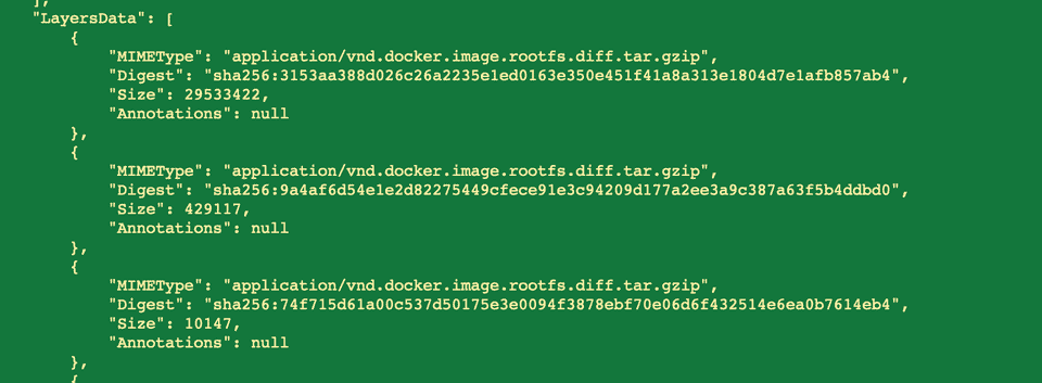 LayerDetails block shows multiple layers with docker MIMEType
